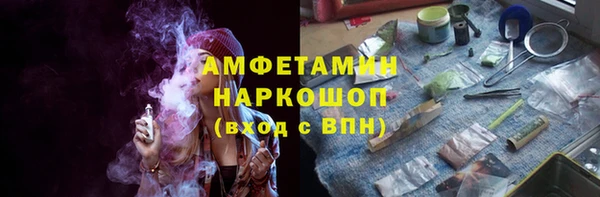 индика Нягань