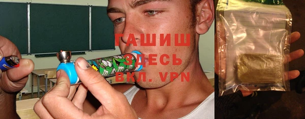 индика Нягань