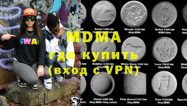 индика Нягань