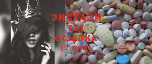 индика Нягань