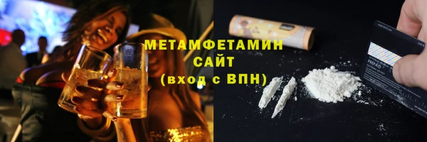 индика Нягань