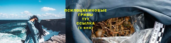 индика Нягань