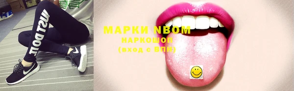 индика Нягань