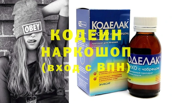 индика Нягань