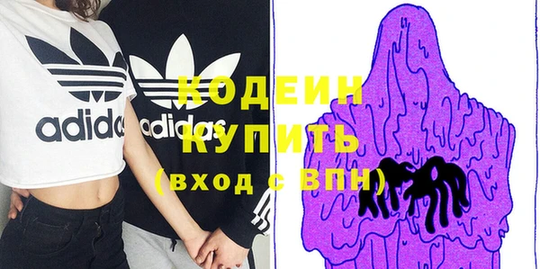 индика Нягань