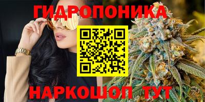 амф Кинель