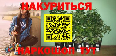 хмурый Кингисепп