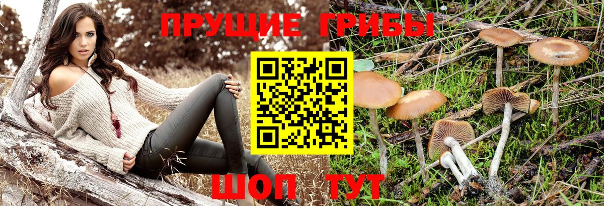 Галлюциногенные грибы мицелий  Псилоцибиновые грибы мухоморы  как найти закладки  Саров 