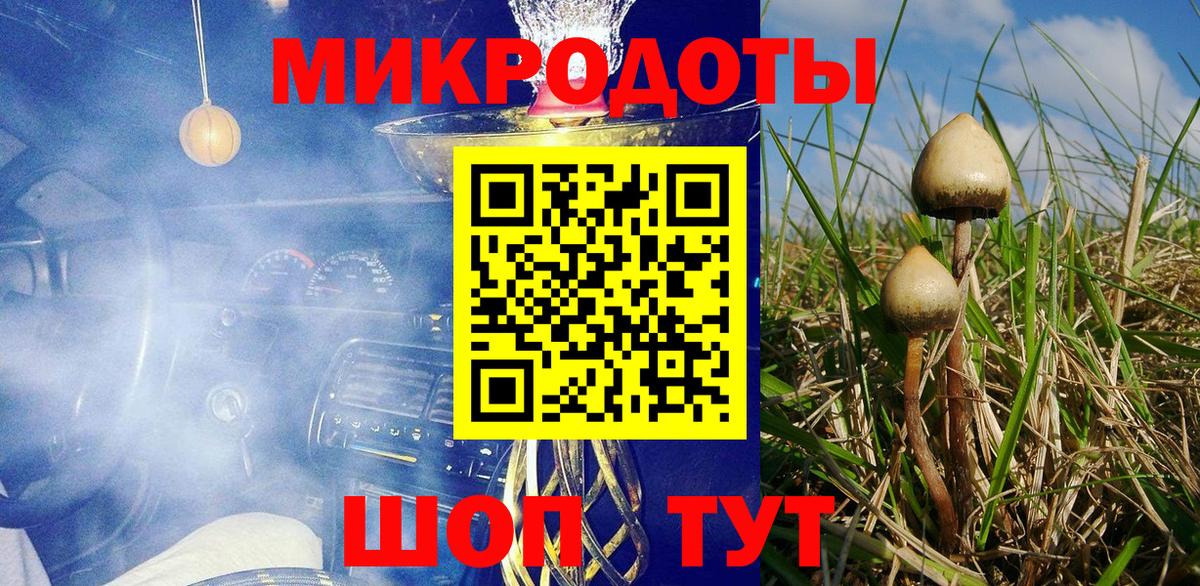 купить   Вход с VPN  Псилоцибиновые грибы Psilocybe  Саров  Псилоцибиновые грибы мицелий 